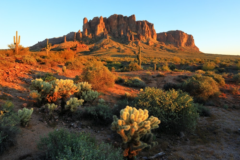Saguaros,And,Superstition,Mountains,,Lost,Dutchman,State,Park,,Apache,Junction,