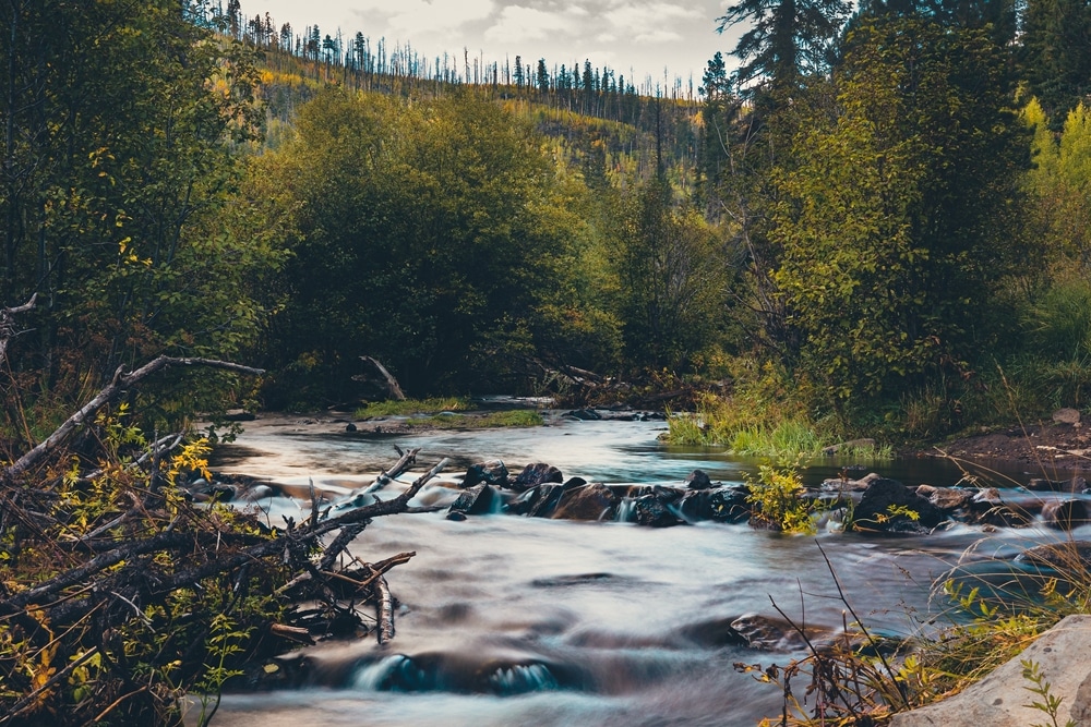 The,Scenic,Nature,Of,Little,Colorado,River,In,Greer,In
