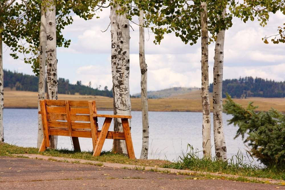 Nature,Photos,Taken,Near,Eagar,,Az