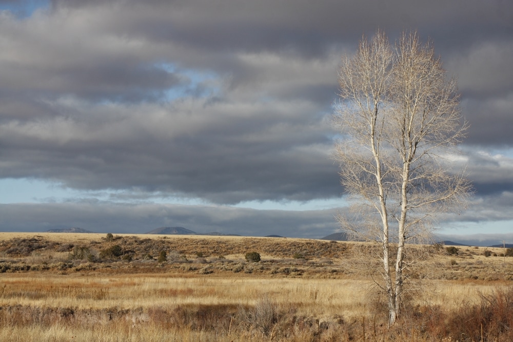 Nature,Photos,Taken,Near,Eagar,,Az