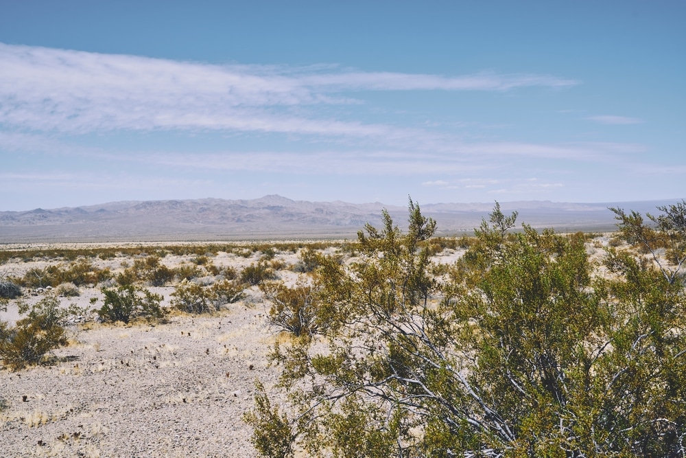 American,Countryside,Landscape,,Terrain,,Sky,,City,,Memories