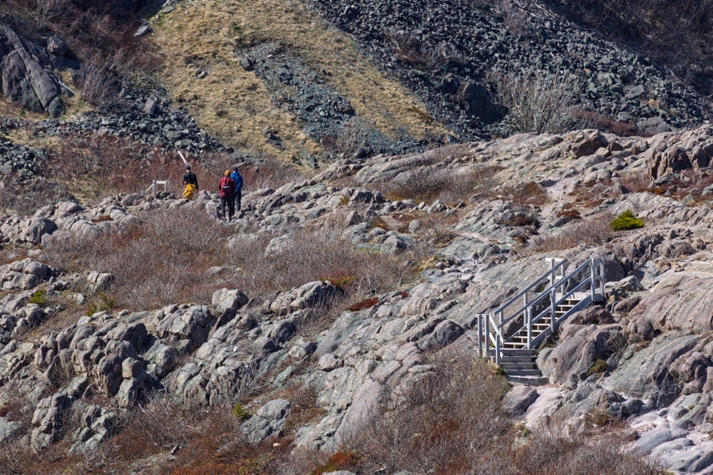 St.,John's,,Newfoundland,And,Labrador,,Canada.,-april,30,,2025:,Tourists,