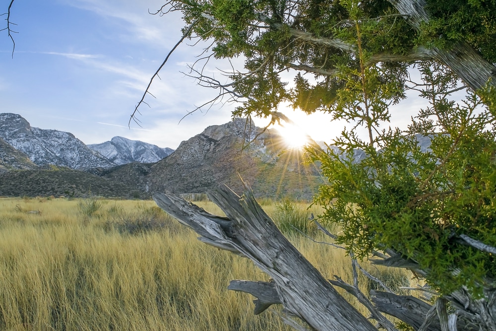 The,Peaks,Of,Mount,Graham,From,Fry,Mesa,Near,Thatcher,