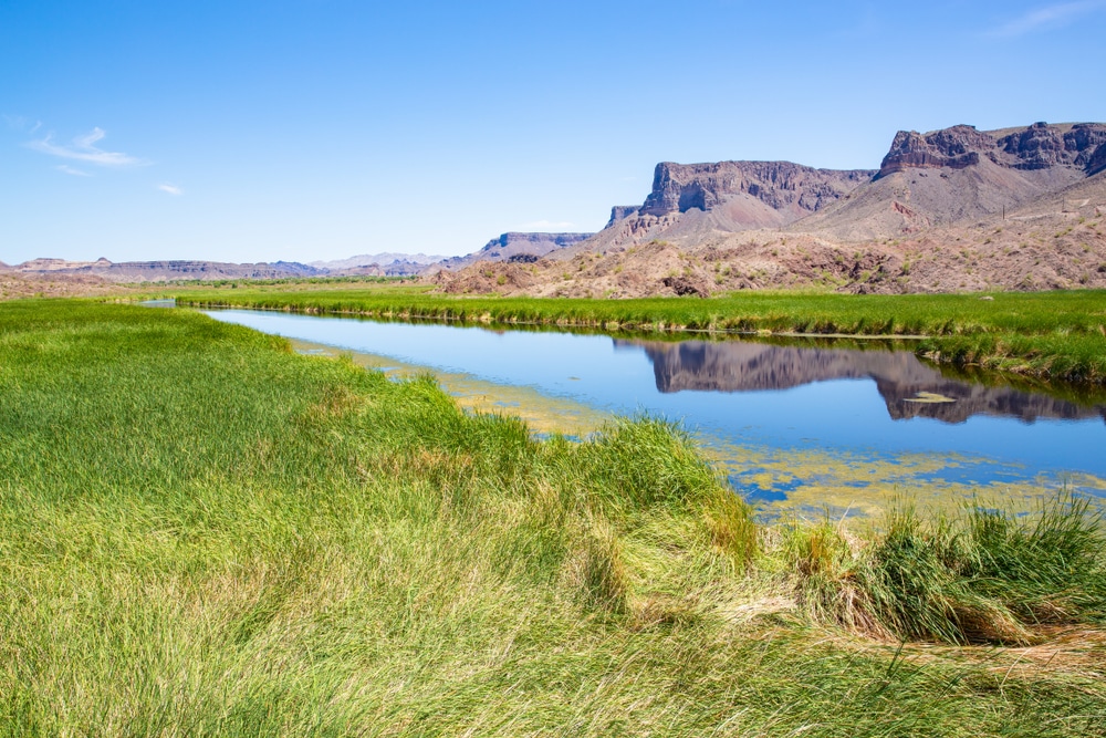 Bill,Williams,River,National,Wildlife,Refuge,In,Arizona,,Oasis,Between
