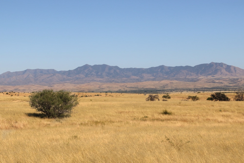 Whetstone,Mountains,From,Las,Cienegas,National,Conservation,Area,,Arizona