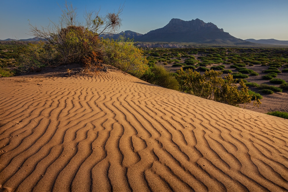 Hot,Well,Dunes,Provide,Unique,Desert,Habitat,And,Recreational,Opportunities.
