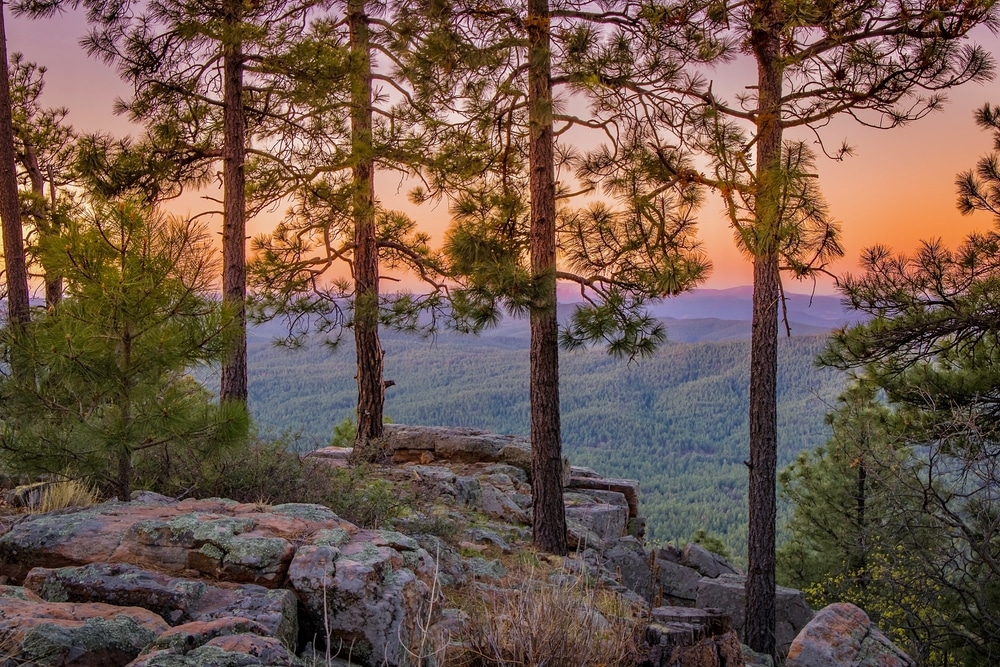 This,Is,Rim,Country,And,The,Coconino,National,Forest,Near