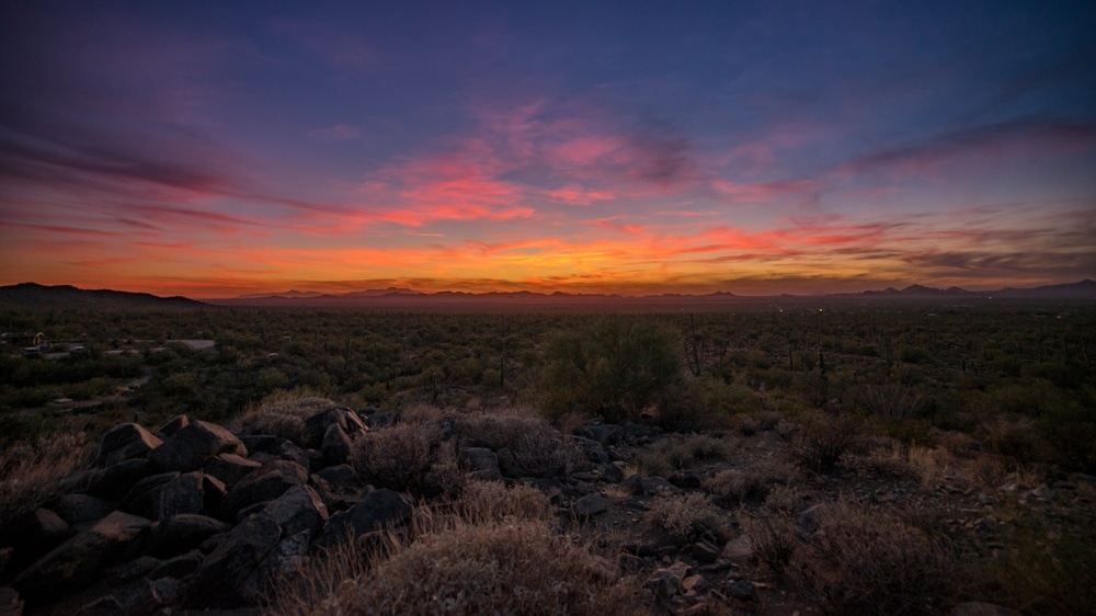Saguaro,Sunset,|,Saguaro,National,Park,-,West,Section,,Arizona,