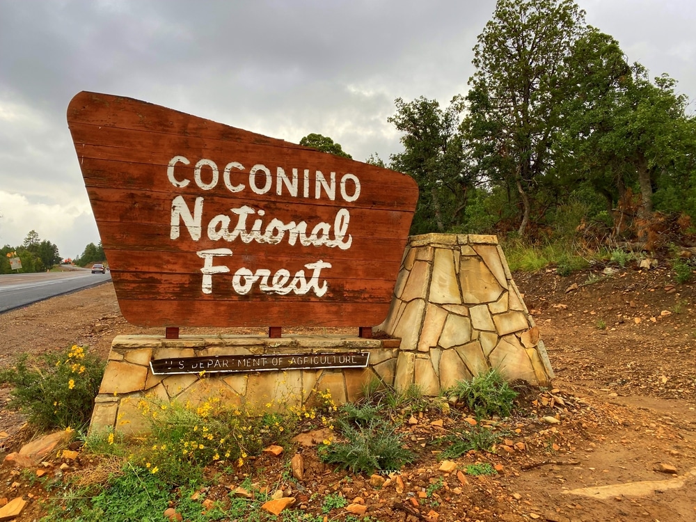 Coconino,National,Forest,,Arizona,-,September,22,,2022:,Sign,Near