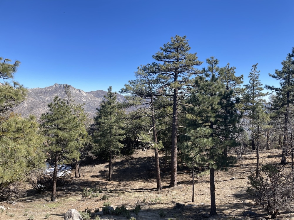 Photos,From,My,Hikes,And,Explorations,In,Arizona.