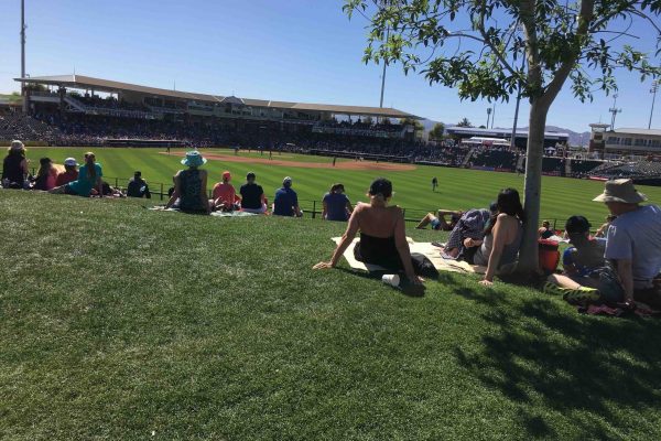 A view of Surprise Stadium from the outfield in Surprise Arizona USA March 24,2017.