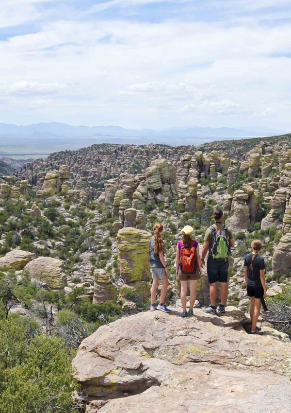 WILCOX, ARIZONA, AUGUST 18. Chiricahua National Monument on August 18, 2019, near Wilcox, Arizona. A Family Gazes at the Chiricahua National Monument, also known as the Land of Standing Up Rocks, Arizona, USA.