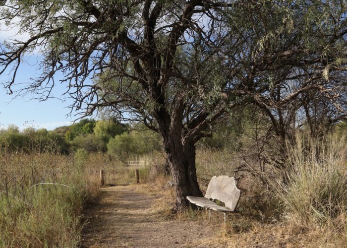 Arivaca,Cienega,Nature,Trail,,Buenos,Aires,National,Wildlife,Refuge,,Arivaca,