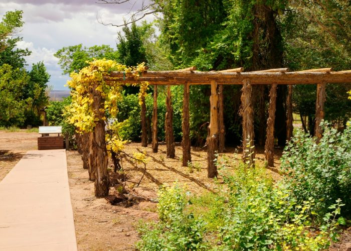 Pipe,Spring,National,Monument,,Arizona,-,Aug,10,,2016:,Gardening
