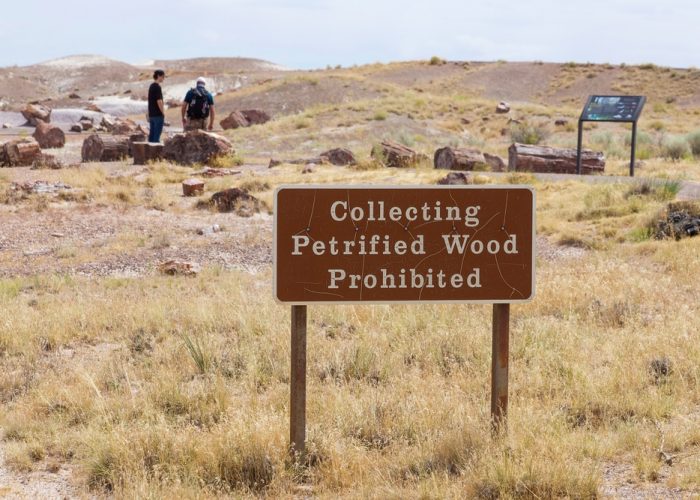 A,Sign,Warning,Against,Collecting,Petrified,Wood,At,Petrified,National