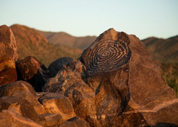 Arizona,Petroglyphs,From,Saguaro,National,Park,,Arizona