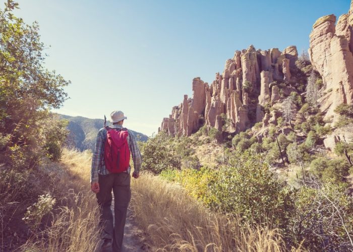 Unusual,Landscape,At,The,Chiricahua,National,Monument,,Arizona,,Usa