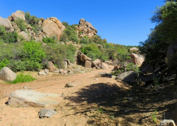 Dirt,Road,Kaibab,National,Forest,North,Central,In,Arizona