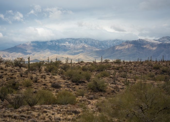 Harquahala,Mountains,Arizona,With,Snow,-,Desert,Cactus,Winter,Landscape,