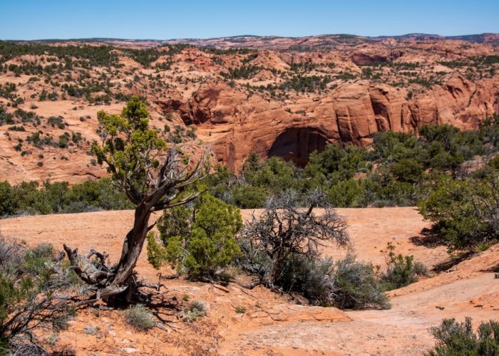 Navajo,National,Monument,Preserves,The,Betatakin,Ruins,In,A,Massive