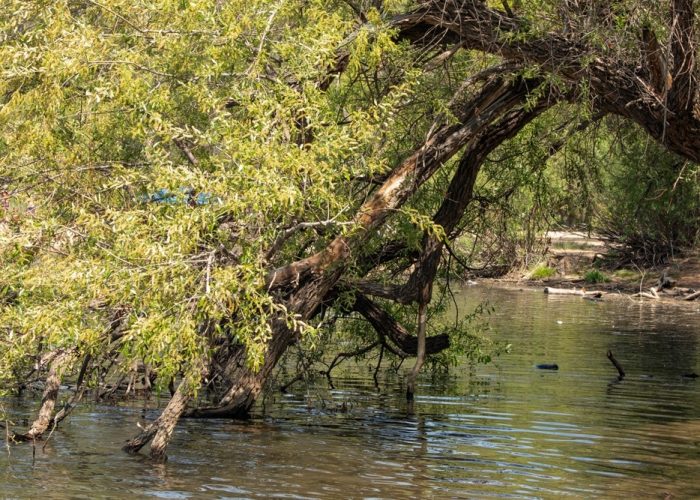 Lynx,Lake.,Prescott,National,Forest.,Arizona.