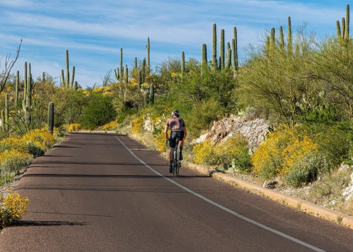 A,Bicyclist,Is,Riding,On,The,Loop,Road,At,Saguaro
