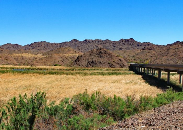 Bill,Williams,Memorial,Bridge,In,Bill,Williams,River,National,Wildlife