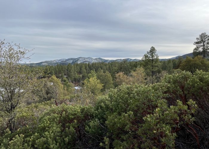 Prescott,National,Forest,Hiking,Trail