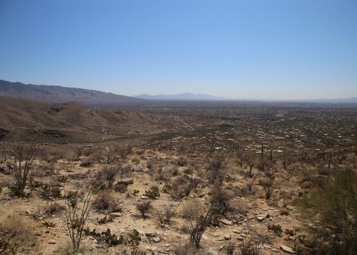 View,Of,The,Sonoran,Desert,From,Babad,Do'ag,Scenic,Overlook