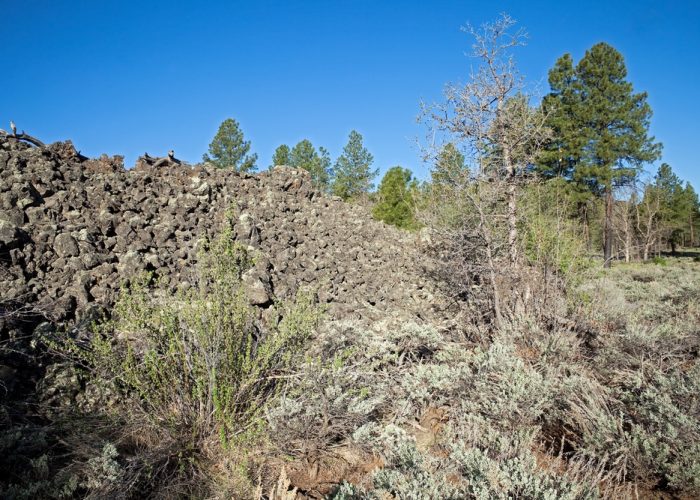 Lava,Rocks,In,Mount,Trumbull,Wilderness.