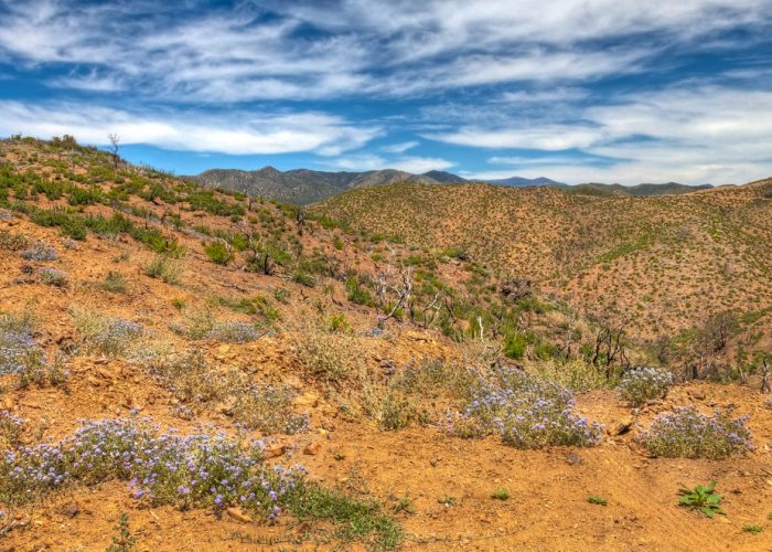 Az-near,Crown,King,Arizona-,The,Journey,From,Prescott,To,Crown